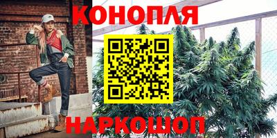 индика Бузулук