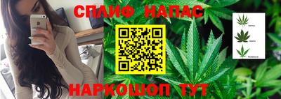 дмт Будённовск