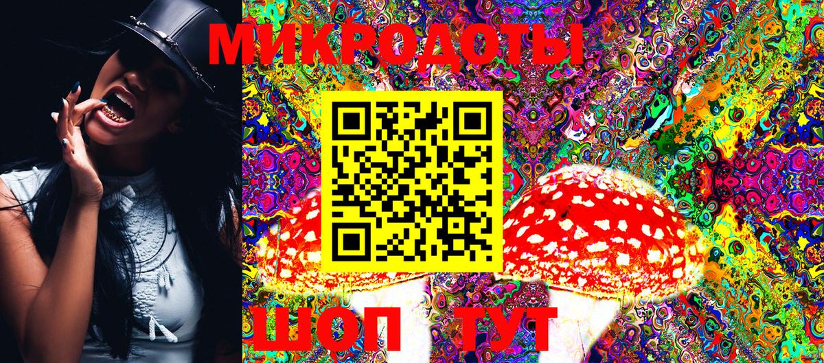 Псилоцибиновые грибы Cubensis Тайшет